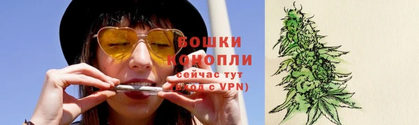дживик Богородск