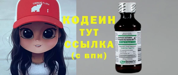 дживик Богородск