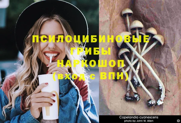 мескалин Богородицк