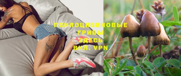 винт Беломорск